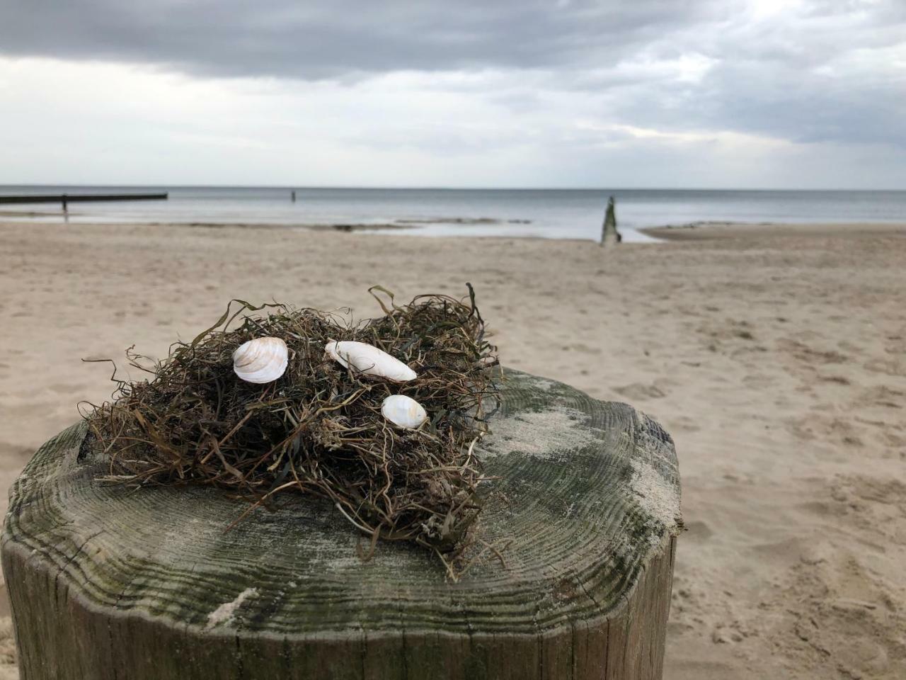 Strandnah Zempin